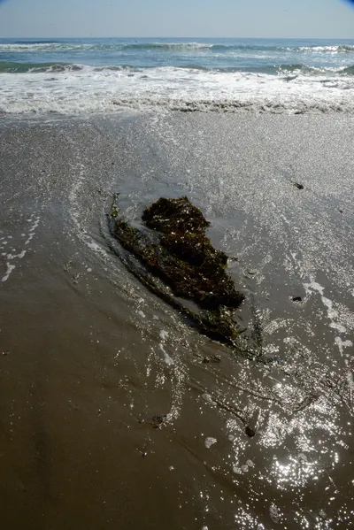 DSC_2543 (Large).JPG